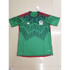 2022 Mexico home